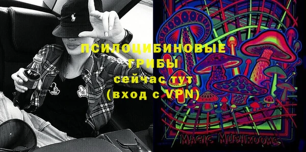 прущие крисы Белоозёрский