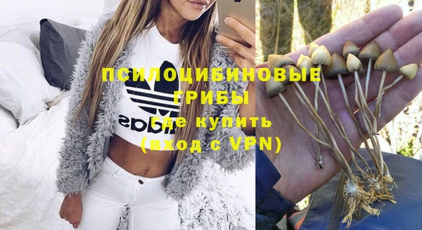 гидропоника Белокуриха